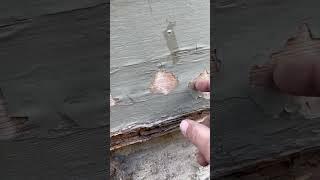 Why You Shouldn't Paint a Deck