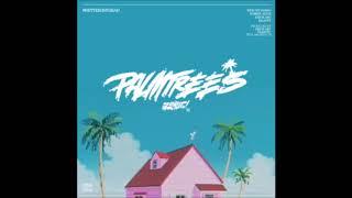 Flatbush Zombies - Palm Trees (Instrumental)