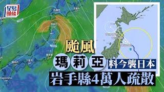 遊日注意︱颱風「瑪莉亞」料今襲日本 東北岩手縣4萬人疏散｜星島頭條新聞｜日本｜岩手縣｜颱風｜瑪莉亞｜強烈熱帶風暴｜日本東北｜日本旅遊