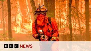 Is the UN warning of 3.1C global warming a surprise? | BBC News