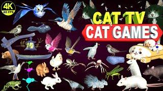 CAT GAMES ULTIMATE CAT TV COMPILATION | BEST CAT GAMES ON SCREEN | CAT & DOG TV 4K 8 HOURS