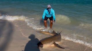 Angler Leo landed a nurse shark and releases right after@ Micro fishing spot!