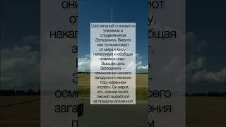 #библиотека #книги #книга #литература #море #пелевин #деньги