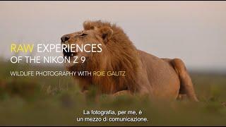 Nikon Italia | Nikon Z 9 - Fotografia Naturalistica con Roie Galitz