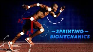 The physics of arm swing in sprinting