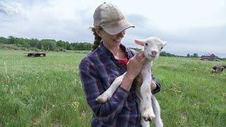 Meet Minnesota's Female Farmers