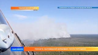Пожар в «Заповедной Мордовии» почти потушили