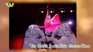 Circus Louis Knie Austria- Elephants Showing Up (1994)