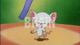 Pinky and the Brain Russian Intro (Пинки и Брейн)