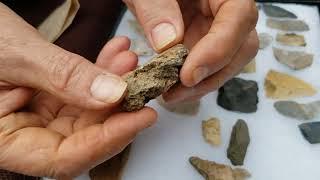 Sub-surface Treasures at the Dig Site @ Field Archaeology 101