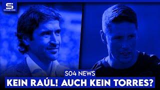 Raúl lehnt ab! Torres kein Ersatz? Schmerzgrenze bei Sylla! Ungerecht vom DFB behandelt? | S04 NEWS