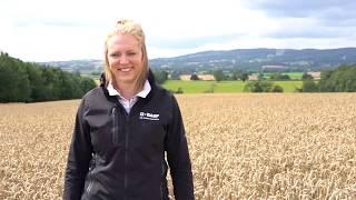 MDS Student at BASF Agricultural Solutions UK