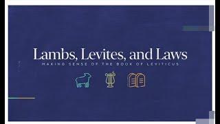 Lambs Levites and Lawa   8/5/23  PM