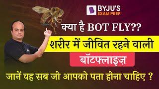 Botflies | Found in Human | Myiasis - Rare Infection | All you need to know ?