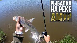 Ловля сазана и коня на быстрой реке Амур. Хабаровский край| Рыбалка на фидер| Приключения