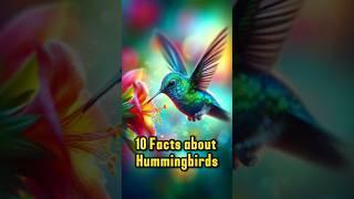 10 fascinating facts about Hummingbirds #animals #facts #hummingbird #epic