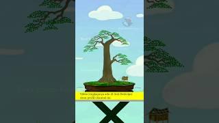 ILUSTRASI MEMBUAT BONSAI BATANG LURUS #bonsaitree