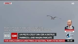 Momente de panică pentru un cuplu din SUA. Un pește căzut din cer le-a spart parbrizul mașinii: „Cre