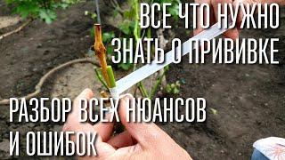 ПРИВИВКА ВИНОГРАДА ОТ А ДО Я! ЛУЧШАЯ ПРИЖИВАЕМОСТЬ. ОЧЕНЬ ПРОСТОЙ СПОСОБ. СМОЖЕТ КАЖДЫЙ!