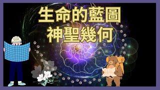 隱藏的人體內在秩序｜乙太模板、神聖幾何、生物能量場