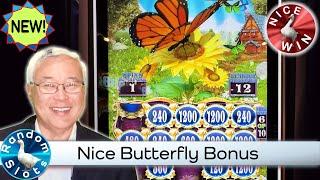 Winning Wings Butterflies Slot Machine Nice Bonus