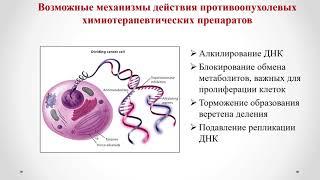 Фармакология 4. Противоопухолевые средства