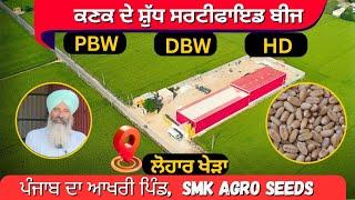 Dbw327, Pbw826, Dbw222, Hd3406, Hd3385, Hd2851 at Lohar kheda, SMK Agro Seeds