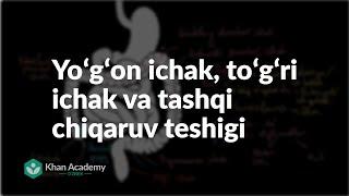 Yoʻgʻon ichak, toʻgʻri ichak va tashqi chiqaruv teshigi | Ovqat hazm qilish tizimi | Tibbiyot