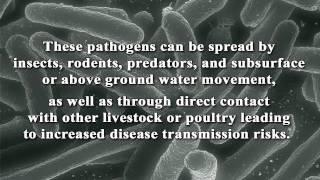 FAQ(v): Why is proper livestock disposal important?