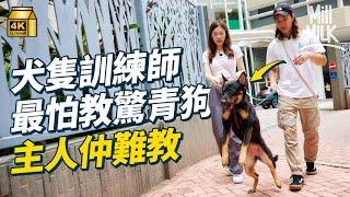 #MM｜試一次做犬隻訓練師 面對有攻擊性嘅狗狗點算好？亂拉狗繩原來係錯誤做法 驚青狗最難教 訓練咬人惡狗唔使惡？訓練主人先係最重要｜#試一次 #4K