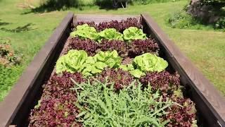 Rundgang durch den Bauerngarten des Granithauses im Mai