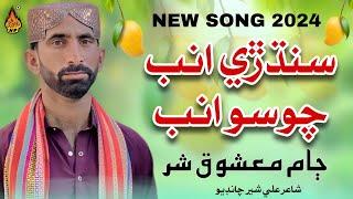 SINDHRI AMNB - Jam Mashoq Shar - New Song 2024 - Jam Mashoq Shar song - Naz Folk