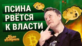 НАДО БЫЛО ПОКУПАТЬ: DOGE В БЕЛОМ ДОМЕ, НОН-СТОП ATH и БЕСЦЕННЫЕ СИД-ФРАЗЫ