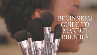 Beginner's Guide to Makeup Brushes | South African Beauty Blogger Laurina Machite