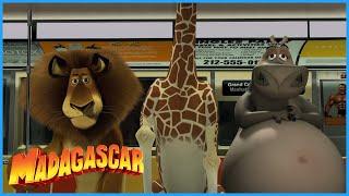 DreamWorks Madagascar | Escape From New York | Madagascar Movie Clip