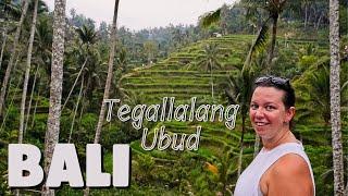 Bali: Affen, Wasserfälle und Reisterrassen [Ubud & Tegallalang] - Teil 2