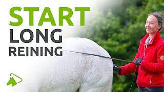 Long Reining Your Horse | How to Start | wehorse