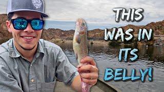 75 Year old Record Broken! Catch and Cook!