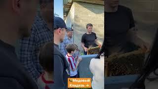 В гостях у пчеловода. Часть 2. Сколько пчёл даёт одна матка за свою жизнь.