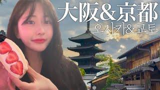 교토, 오사카 1박2일 먹방 여행교토 당일치기는 이대로 따라오시면 됩니다매니저님과 함께 오사카 핫플 텐마역 술먹방까지