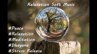 Relaxation / Sleep Soft Music 1Hrs