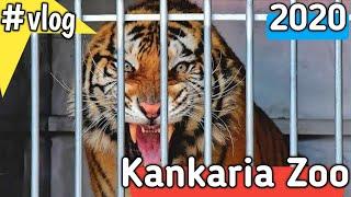 Kankaria Zoo Vlog | Ahmedabad | TourCam 