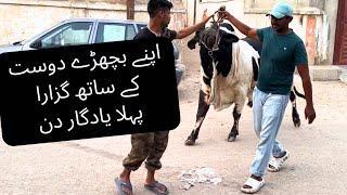 Apne Bachre K Sath Guzara Pehla Yadgaar Din. Bakra Eid Vlogs.