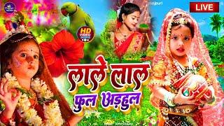 Navratri Bhakti Song 2024 | Devi Geet | नवरात्रि स्पॆशल गीत | Bhakti Gana | Bhojpuri Devi Geet