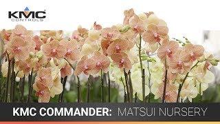 KMC Commander: Matsui Nursery Case Study