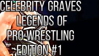 Pro Wrestling Legends Graves Part 1 #wwe #aew #history