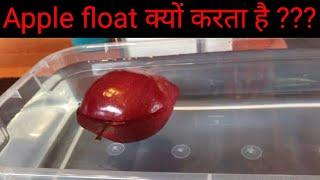 Apple float kyo karta hai ??? | Why does Apple float in water ???