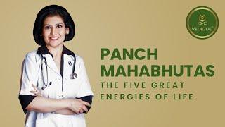 Panch Mahabhutas – the Five Great Energies of Life | Vedique Nutrition Protocol