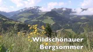 Wildschönauer Bergsommer