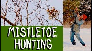 Mistletoe Hunting - Farm Hand's Companion